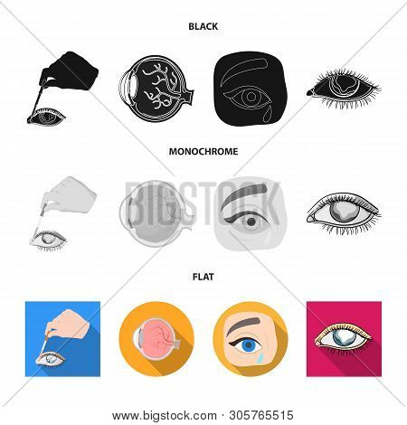 Vector Design Of Medical And Eyeball Icon. Collection Of Medical And Optical Vector Icon For Stock.