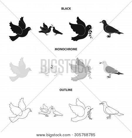 Vector Illustration Of Flying And Dove Symbol. Set Of Flying And Carrier Stock Vector Illustration.