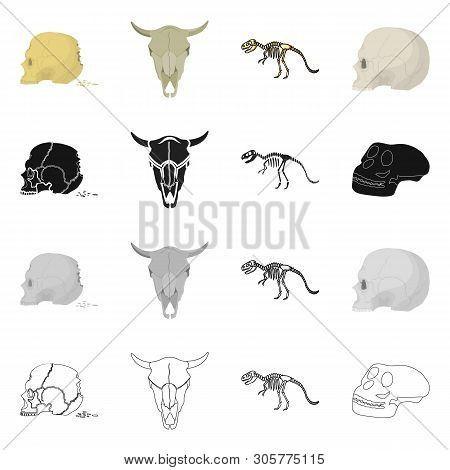 Vector Illustration Of Skeleton And Character Symbol. Set Of Skeleton And Halloween Vector Icon For 