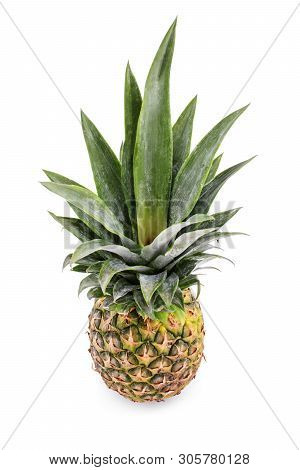 Pineapple Fruit Photographed From The Top, Isolated On A White Background.