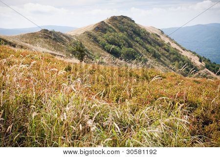 Bieszczady 山の南の東のポーランド