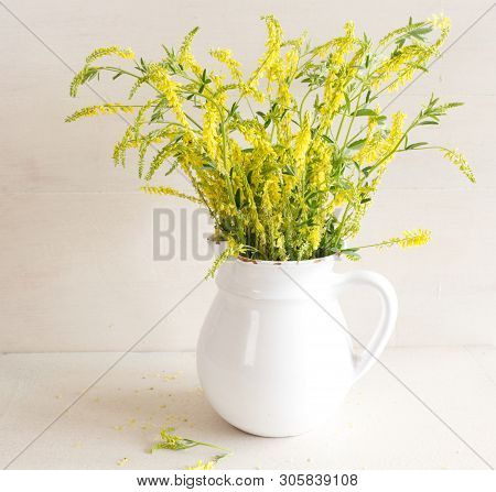 Bouquet Of Flowers Melilotus Officinalis In White Vase, Known As Yellow Sweet Clover. Plants Have A 