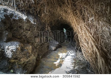 Natural Gallery Made From Cliff Stones And Green. Secret Mystical Narrow Path Throgh Cave. Ein Gedi 