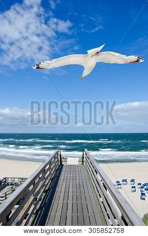 Wooden Foot Bridge And Large Seagull At The Beach On The Island Of Sylt, Germany