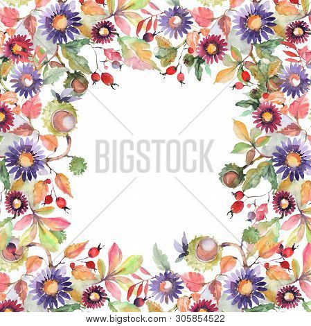Aster And Wildflower Bouquet Botanical Flowers. Watercolor Background Illustration Set. Frame Border