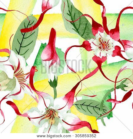 Red White Strophantus Floral Flowers. Watercolor Background Illustration Set. Seamless Background Pa