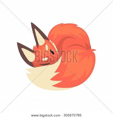 Cute Sleeping Red Fox Cub Character Cartoon Vector Illustration