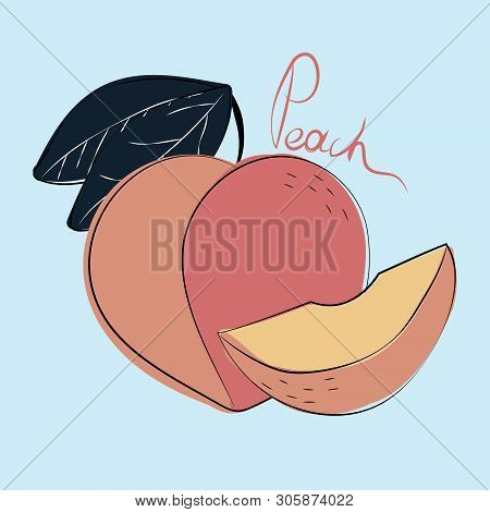 Vector Illustration Of Whole And Cut Peaches On Pastel Blue Background