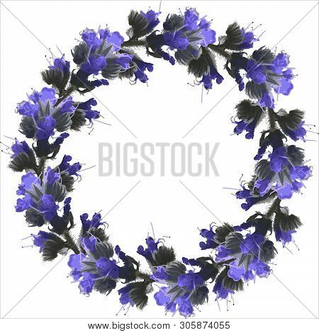 Floristic Decorative Vecror Frame Of Blue Wildflowers
