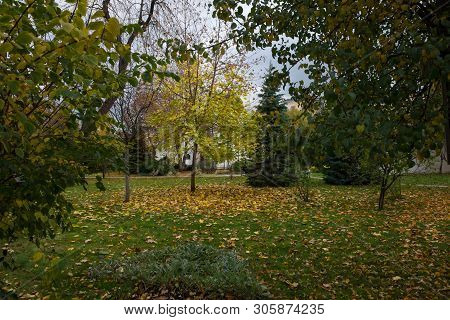 Autumn Park In Marfo-mariinsky Cloister Of Mercy. Moscow. Russia