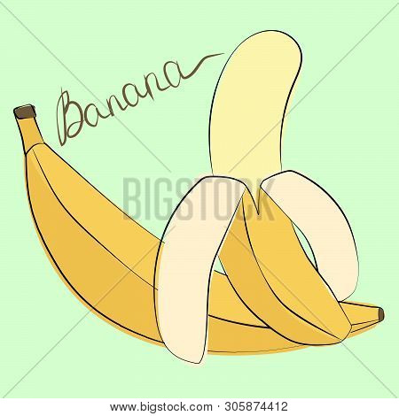Vector Illustration Of Whole And Peeled Bananas On Pastel Green Background