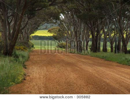 Carretera con vistas