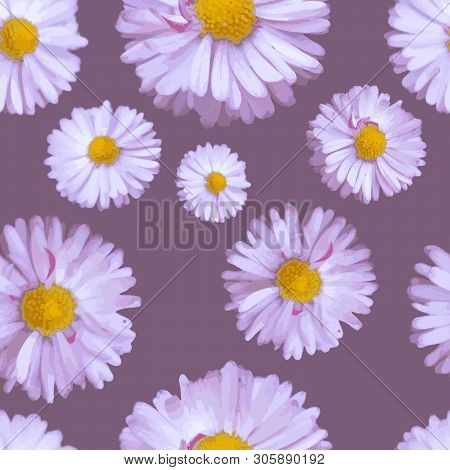 Seamless Vector Pattern With Pink Daisies On Gark Pink Background. Flowers In Realistic Style