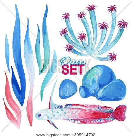 Gouache Ocean Gentle Set With Aglae, Stone And Fish