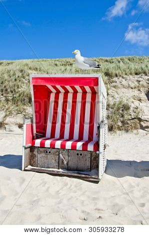 Seagull Sitting On A Beach Chair In Dune Landscape In Northern Germany