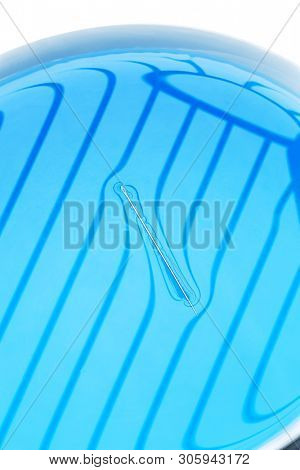 Physical experiment - needle floats on water surface.