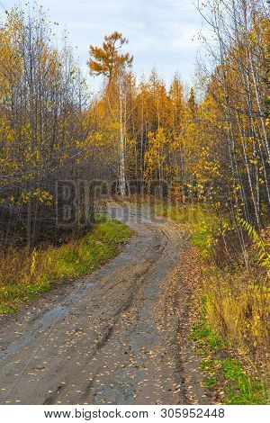 Unnamed, Gravel Road On Peninsula Kamchatka, Landscape In Autumn Colors. Bystrinsky District, Russia