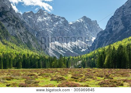 Spring In Krma Valley At The Julian Alps With Wild Flowers Blooming, Triglav National Park, Slovenia