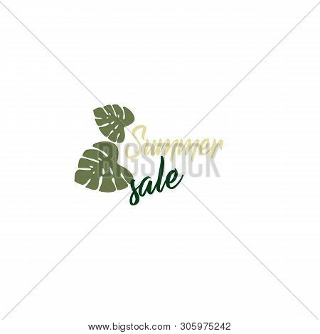Flat Design Vector Logo - Summer Discount. Web Icon Tropical Leaf Monstera Closeup Isolated. Stylish