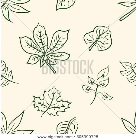 Doodle Leaves Of Trees Set .seamless Pattern. Vector