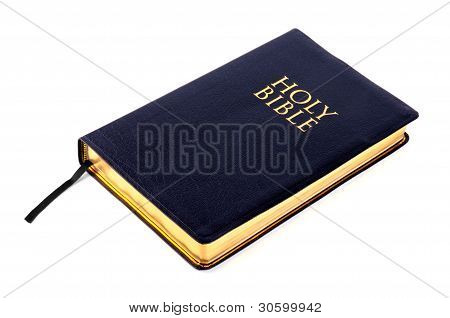 Heilige Bijbel