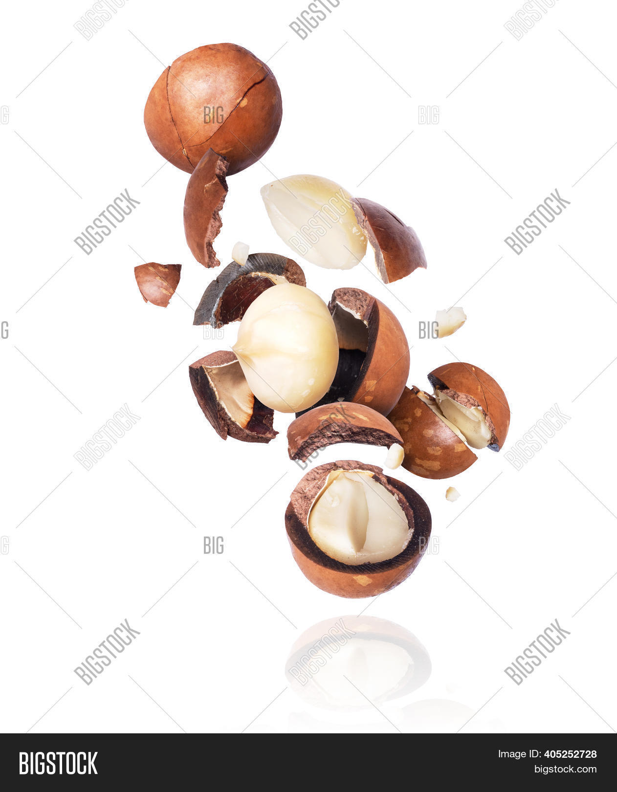 Group Macadamia Nuts Image & Photo (Free Trial) | Bigstock