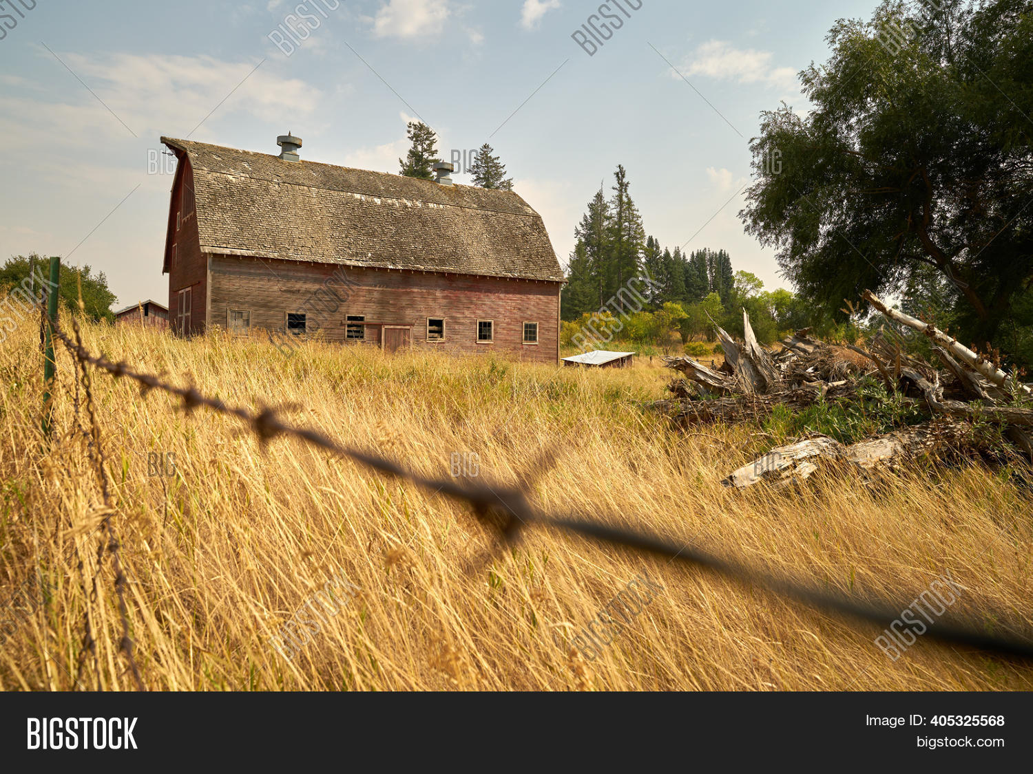 Rustic Barn Grass. Image & Photo (Free Trial) Bigstock