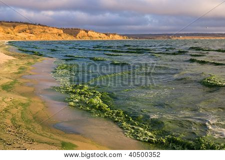 Ondas verdes