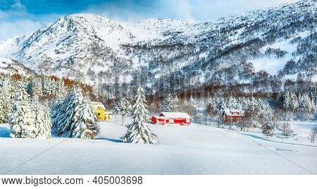 Fabulous Winter Scenery With Traditional Norwegian Wooden Houses And Pine Trees Near Valberg Village