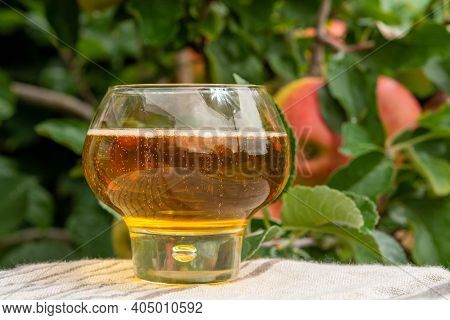 Glass Of Apple Cider From Normandy, France And Green Apple Tree With Ripe Red Fruits On Background