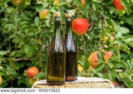 Brut And Rose Apple Cider From Normandy, France And Green Apple Tree With Ripe Red Fruits On Backgro