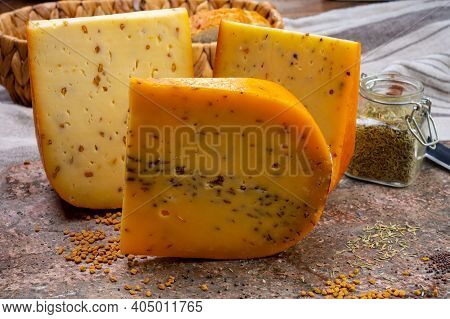 Cheese Collection, Pieces Of Hard Yellow Dutch Gouda Cheese With Dried Caraway, Mustard, Cumin, Fenu
