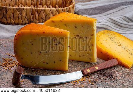 Cheese Collection, Pieces Of Hard Yellow Dutch Gouda Cheese With Dried Caraway, Mustard, Cumin, Fenu