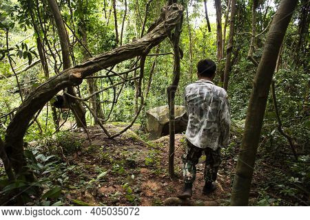 Forestry Officer Bring Thai People And Foreign Traveler Walking Travel Visit In Forest Visit Tham Bu