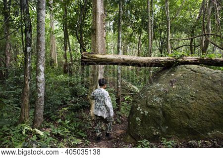 Forestry Officer Bring Thai People And Foreign Traveler Walking Travel Visit In Forest Visit Tham Bu