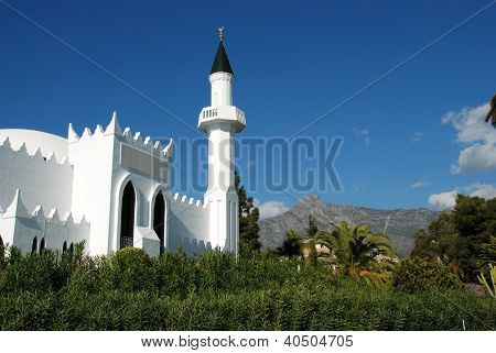 Mosque, Marbella, Andalusia, Spain.
