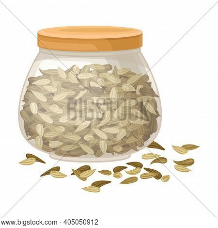 Dried Fennel Fruit As Aromatic Anise-flavored In Jar Vector Illustration