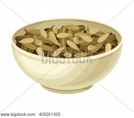 Dried Fennel Fruit As Aromatic Anise-flavored In Bowl Vector Illustration