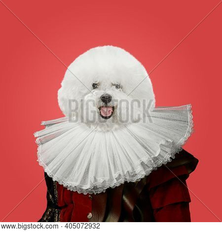 Snowflake. Model Like Medieval Royalty Person In Vintage Clothing Headed By Dog Head On Red Backgrou