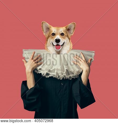 Jabot. Model Like Medieval Royalty Person In Vintage Clothing Headed By Dog Head On Red Background. 