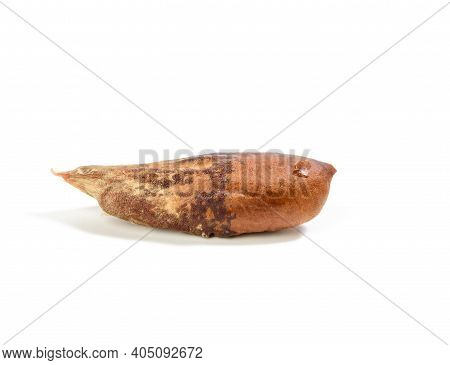 Brown Date Stone Isolated On White Background, Close Up
