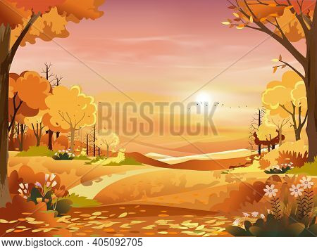 Autumn Landscape Wonderland Forest With Grass Land,mid Autumn Natural In Orange Foliage,fall Season 