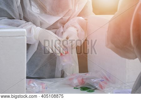 Focus At Health Worker's Hand Is Collecting Sputum And Saliva Samples To Detect Infectious Patients 