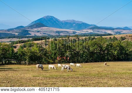 Landscape View At Saint Baudille Et Pipet, Local Authorities Association Of Trieves In Vercors, Fren