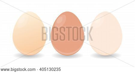 Easter Eggs Design. Eggs Isolated White Background Vector Illustration