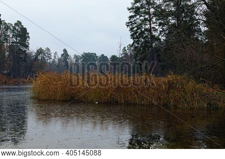 Cloudy Autumn Landscape View Of Pond And Autumn Colored Forest. Trees Reflected In The Water. Autumn