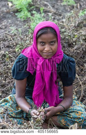 Abbigeri, Karnataka, India - November 6, 2013: Closeup Of Young Married Female Peanut Harvester With