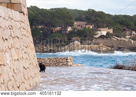 View Of Sea At The Coast Of Cala Ratjada, Majorca, Spain.