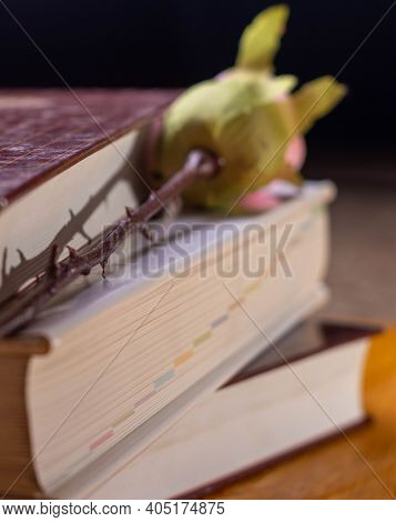 Closed Three Book On The Table Vertically With A Rose