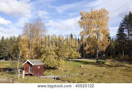 โดว์ที่ผู้สูงอายุและโรงสีในป่า